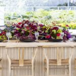 IMG_1025